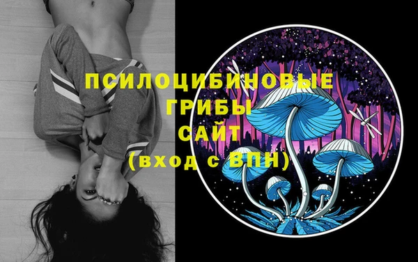 молекула духа Верхний Тагил