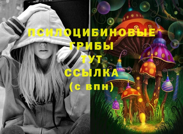 ешки Володарск
