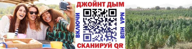 Конопля Ganja  где найти   Карасук 